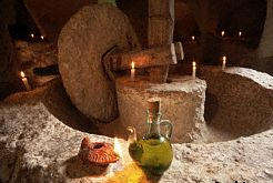 Spanish olive oil mill